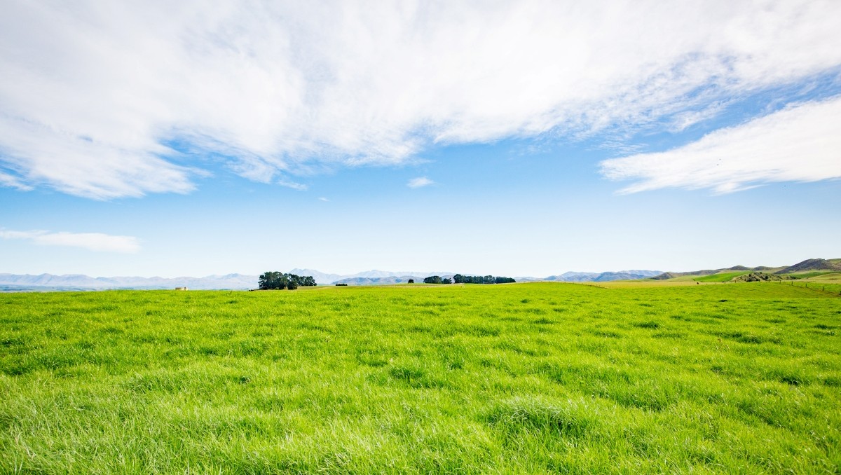 Collaboration and data give rural land investor a climate edge | IoD NZ