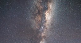 How kaupapa Māori governance training is transforming leadership across Aotearoa