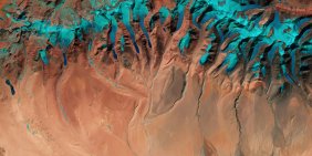 From risk to resilience: Why nature must be a boardroom concern