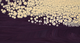 Governing for collective impact – without centralising control