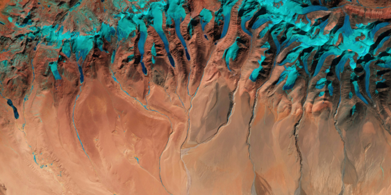 From risk to resilience: Why nature must be a boardroom concern