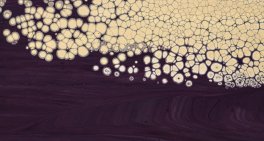Governing for collective impact – without centralising control
