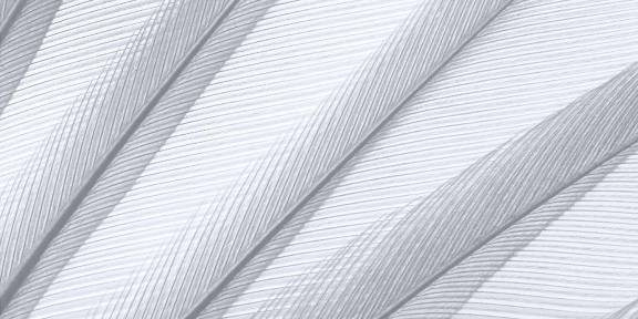 Whistleblowing, speak up culture, and the board