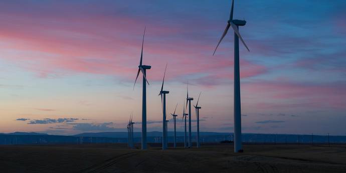 Windmills purple blue sky