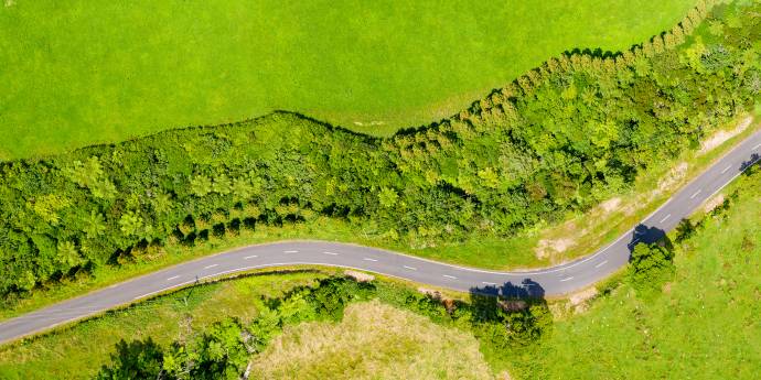 aerial view of road winding through green fields