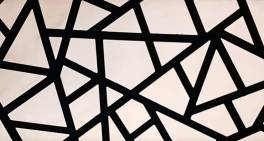 Co-operatives in New Zealand