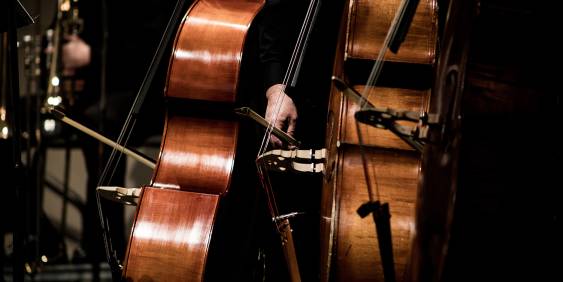 String instruments in an orchestra