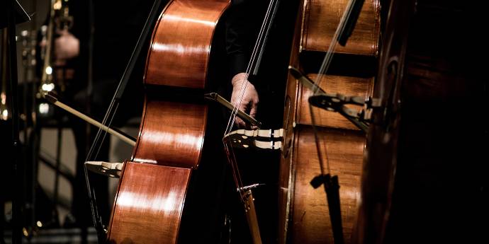 String instruments in an orchestra