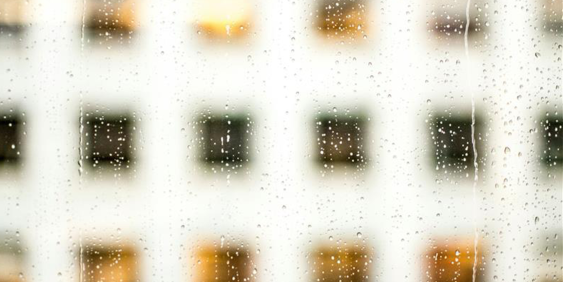 Business Payment Practices Act to increase load for directors 