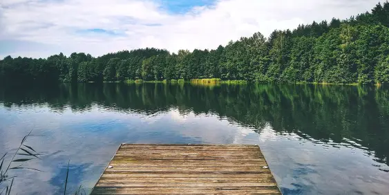 Pier on a lake with trees on the shoreline