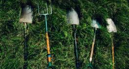 Director insights: Starting the climate journey