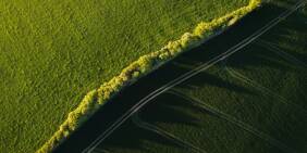 Governing nature as an asset: Measurement, resilience and long-term value