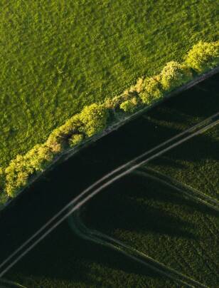 Governing nature as an asset: Measurement, resilience and long-term value