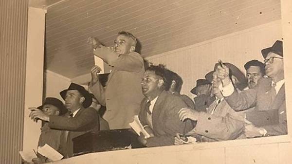 Rod Weir as a young auctioneer at the Dannevirke bull fair in October 1956.