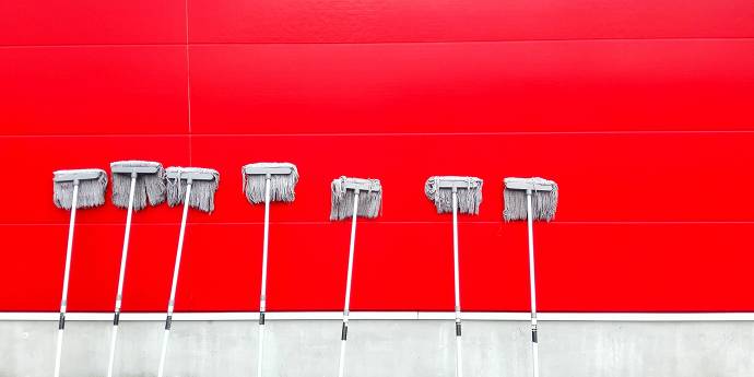 Mops on red brick wall