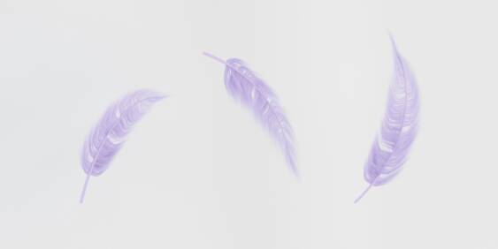 feathers