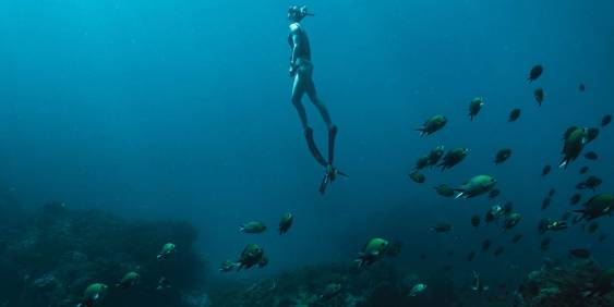 Women swimming in the ocean with fishes