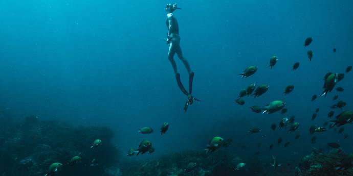 Women swimming in ocean surrounded by fish