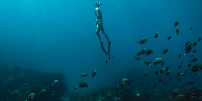 Women swimming in ocean surrounded by fish