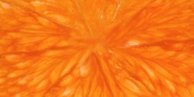 Governing for food safety – Why it matters to every director