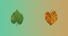 The courage to adapt