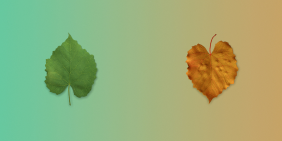 The courage to adapt