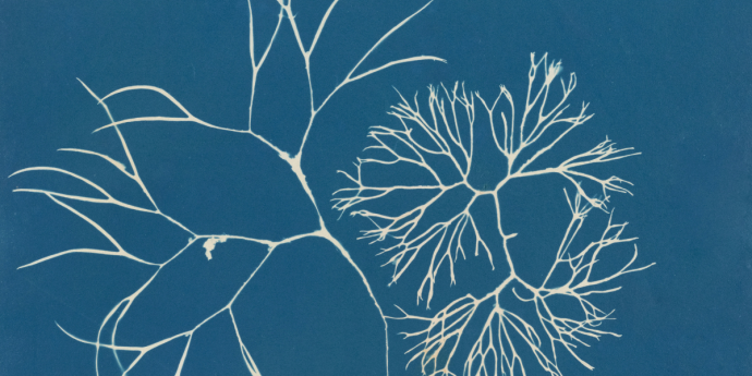 Fees Tailored Review