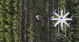 Farming directorships: A due diligence guide