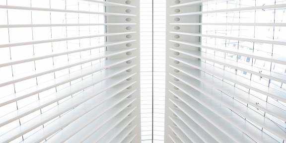 Director competency framework