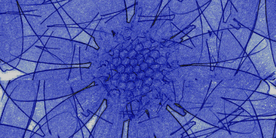 blue lines that look like a flower