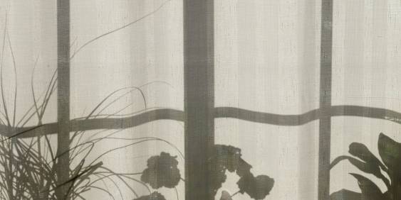 Reforming transparency 