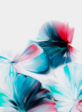 Scholarship fund contribution