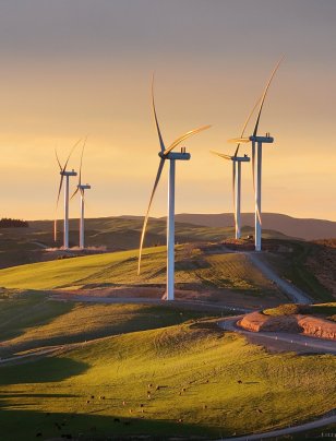 Climate Action: Success stories in New Zealand business
