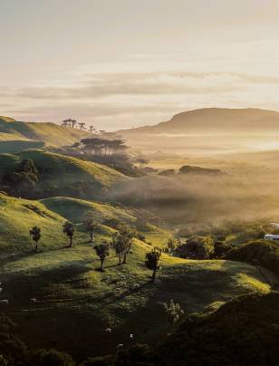 Governing for nature: Strengthening strategy, risk and long-term value