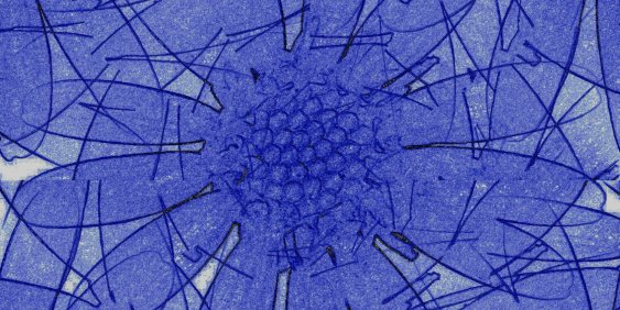blue lines that look like a flower