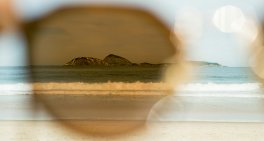 M&A on the horizon: What directors need to watch