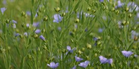 The business case for nature-based solutions