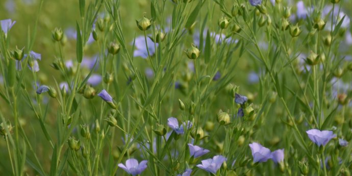 The business case for nature-based solutions